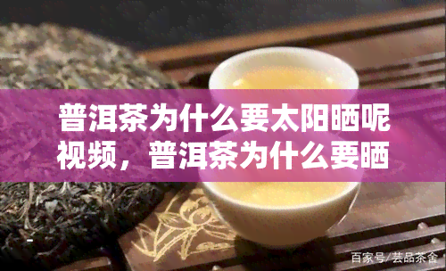 普洱茶为什么要太阳晒呢视频，普洱茶为什么要晒干