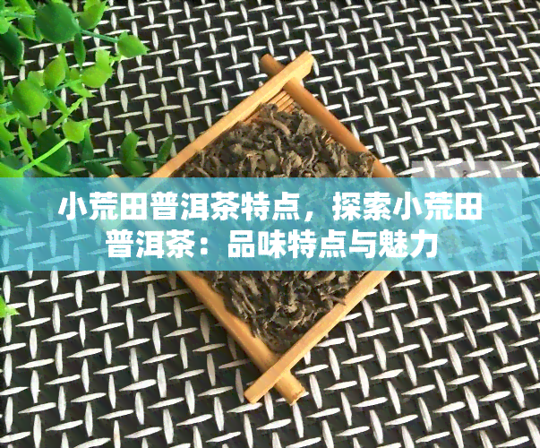 小荒田普洱茶特点，探索小荒田普洱茶：品味特点与魅力