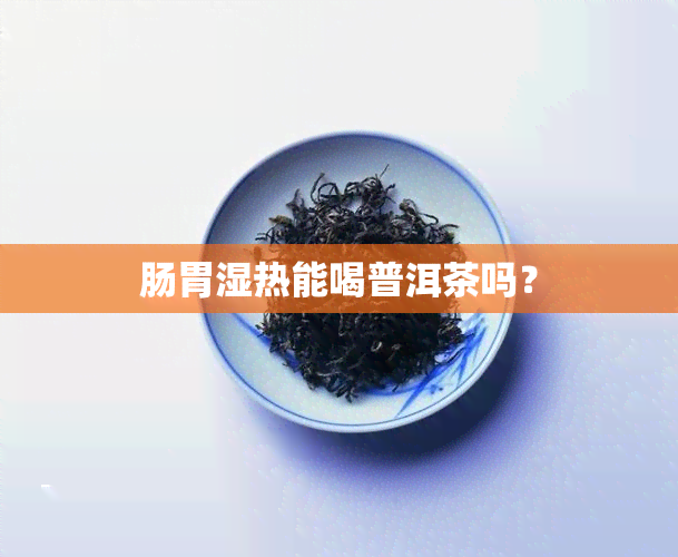 肠胃湿热能喝普洱茶吗？