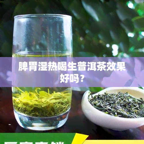 脾胃湿热喝生普洱茶效果好吗？