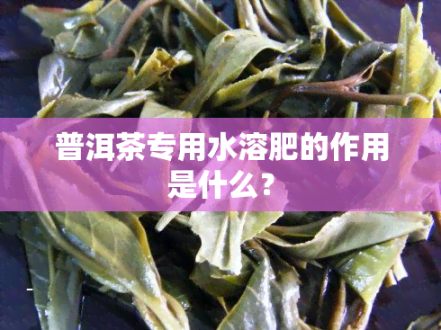 普洱茶专用水溶肥的作用是什么？