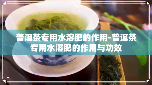 普洱茶专用水溶肥的作用-普洱茶专用水溶肥的作用与功效