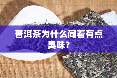 普洱茶为什么闻着有点臭味？