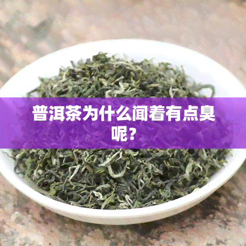 普洱茶为什么闻着有点臭呢？