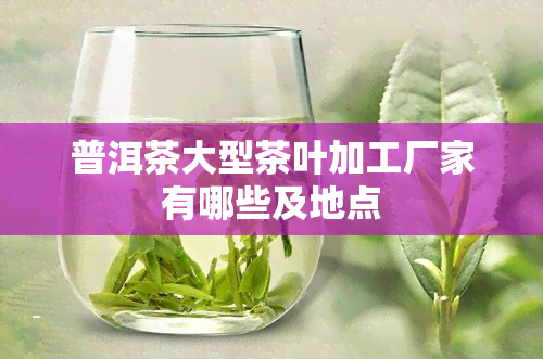 普洱茶大型茶叶加工厂家有哪些及地点