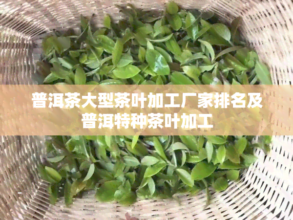 普洱茶大型茶叶加工厂家排名及普洱特种茶叶加工