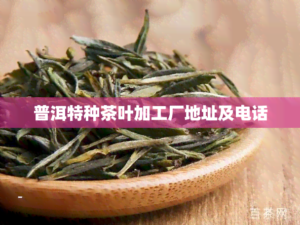 普洱特种茶叶加工厂地址及电话