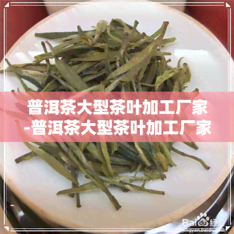 普洱茶大型茶叶加工厂家-普洱茶大型茶叶加工厂家有哪些