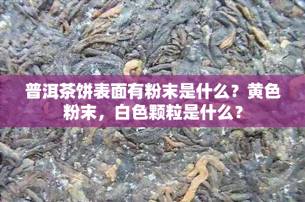 普洱茶饼表面有粉末是什么？黄色粉末，白色颗粒是什么？