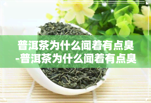 普洱茶为什么闻着有点臭-普洱茶为什么闻着有点臭味