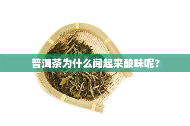 普洱茶为什么闻起来酸味呢？