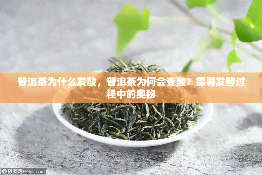 普洱茶为什么发酸，普洱茶为何会变酸？探寻发酵过程中的奥秘