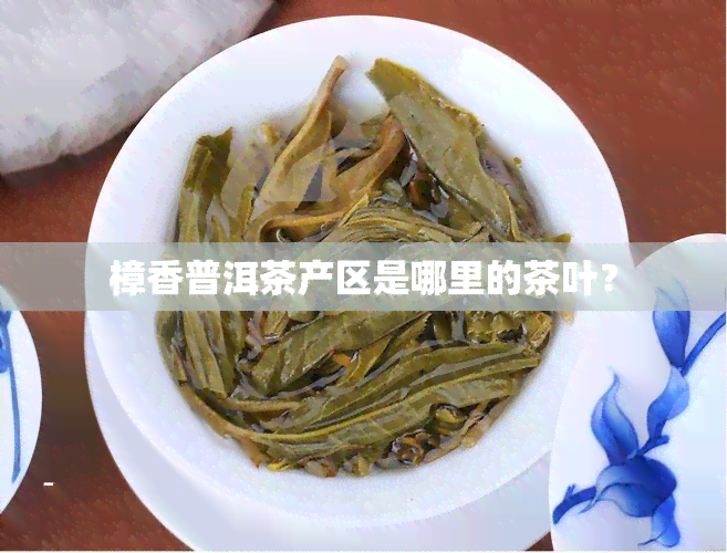 樟香普洱茶产区是哪里的茶叶？