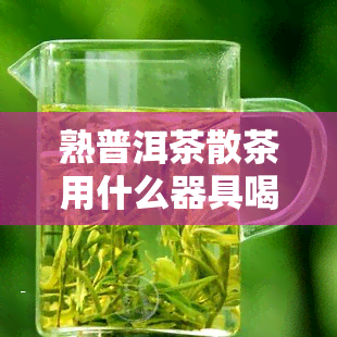 熟普洱茶散茶用什么器具喝