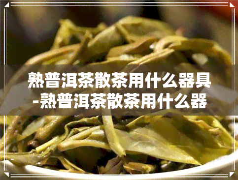 熟普洱茶散茶用什么器具-熟普洱茶散茶用什么器具好