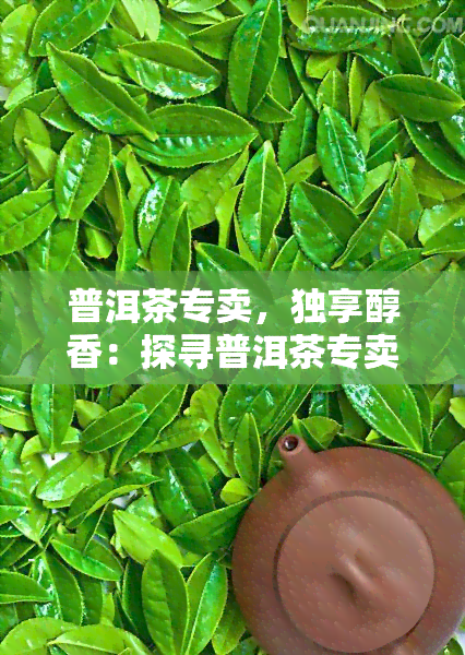 普洱茶专卖，独享醇香：探寻普洱茶专卖的魅力世界