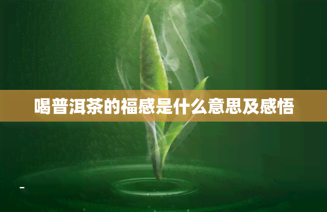 喝普洱茶的福感是什么意思及感悟