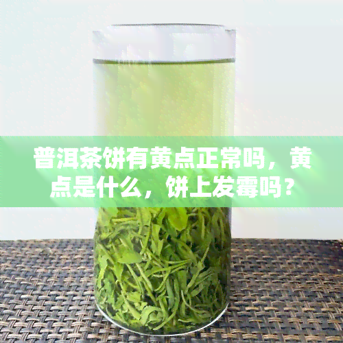 普洱茶饼有黄点正常吗，黄点是什么，饼上发霉吗？