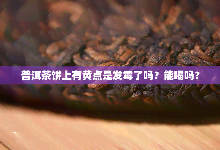 普洱茶饼上有黄点是发霉了吗？能喝吗？