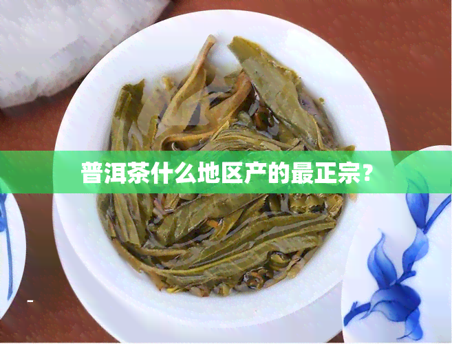 普洱茶什么地区产的最正宗？