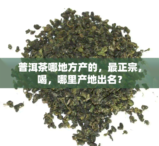 普洱茶哪地方产的，最正宗，喝，哪里产地出名？