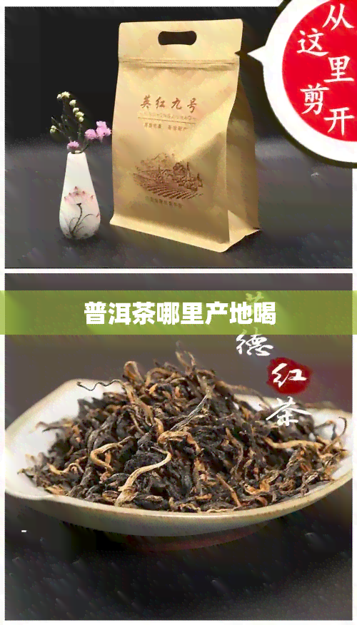 普洱茶哪里产地喝