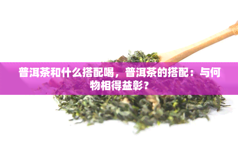 普洱茶和什么搭配喝，普洱茶的搭配：与何物相得益彰？