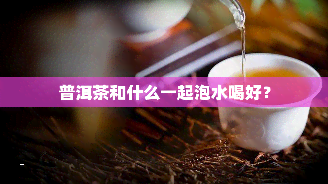 普洱茶和什么一起泡水喝好？