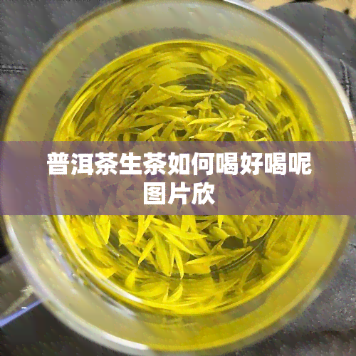 普洱茶生茶如何喝好喝呢图片欣