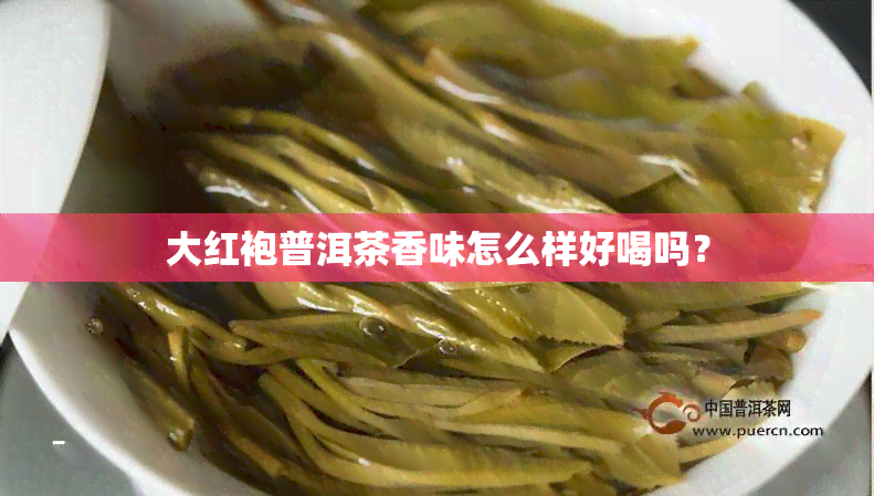 大红袍普洱茶香味怎么样好喝吗？