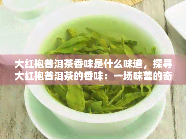 大红袍普洱茶香味是什么味道，探寻大红袍普洱茶的香味：一场味蕾的奇妙之旅