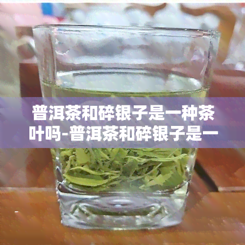 普洱茶和碎银子是一种茶叶吗-普洱茶和碎银子是一种茶叶吗为什么