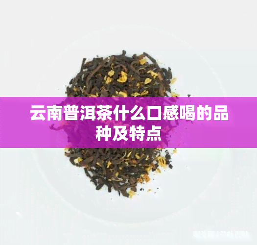 云南普洱茶什么口感喝的品种及特点