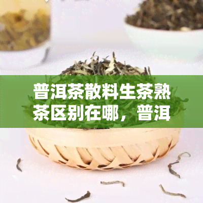 普洱茶散料生茶熟茶区别在哪，普洱茶散料：生茶与熟茶的区别解析