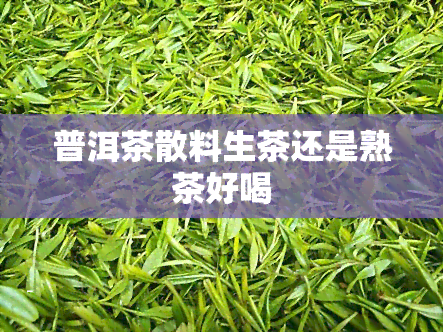 普洱茶散料生茶还是熟茶好喝