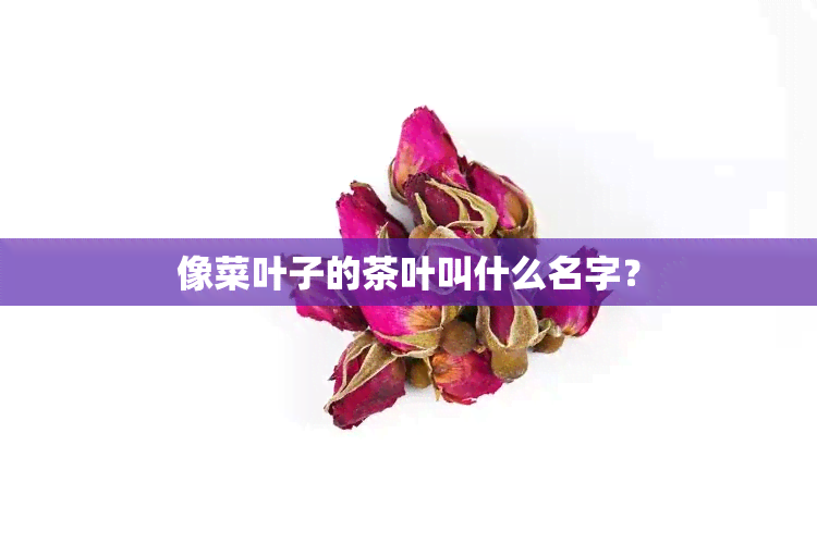 像菜叶子的茶叶叫什么名字？