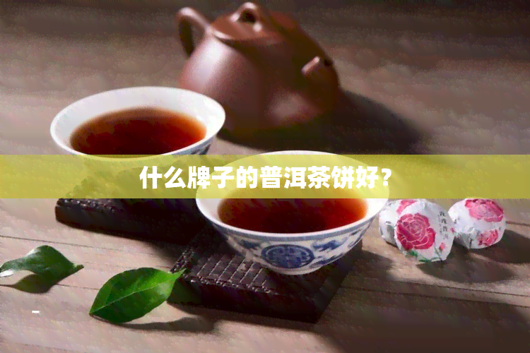 什么牌子的普洱茶饼好？