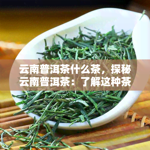 云南普洱茶什么茶，探秘云南普洱茶：了解这种茶的起源与特点