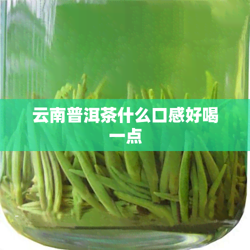 云南普洱茶什么口感好喝一点