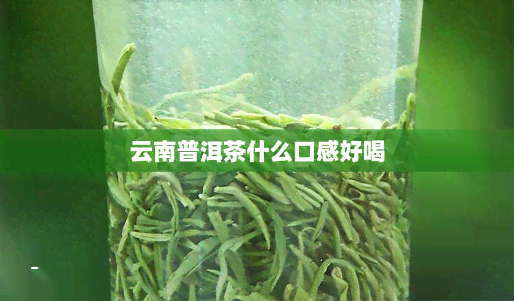 云南普洱茶什么口感好喝