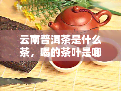 云南普洱茶是什么茶，喝的茶叶是哪种？