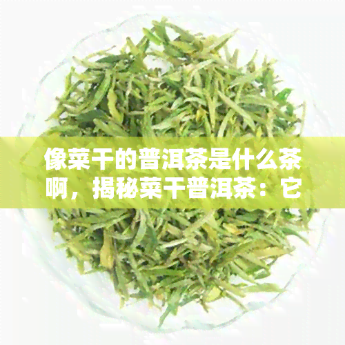 像菜干的普洱茶是什么茶啊，揭秘菜干普洱茶：它究竟是什么茶？