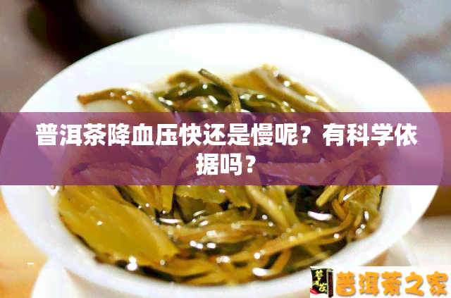 普洱茶降血压快还是慢呢？有科学依据吗？