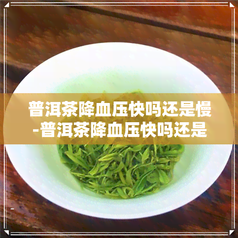 普洱茶降血压快吗还是慢-普洱茶降血压快吗还是慢呢