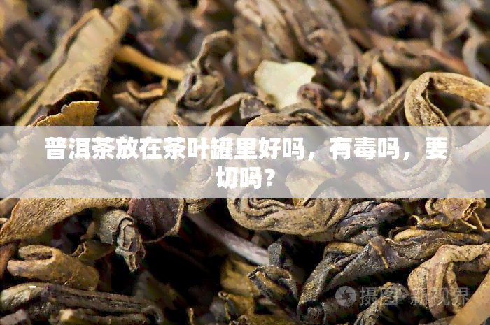 普洱茶放在茶叶罐里好吗，有吗，要切吗？