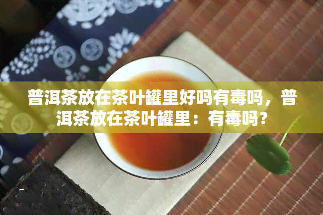 普洱茶放在茶叶罐里好吗有吗，普洱茶放在茶叶罐里：有吗？