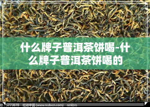 什么牌子普洱茶饼喝-什么牌子普洱茶饼喝的