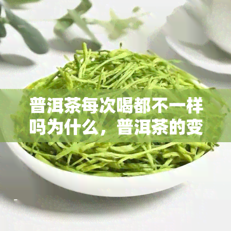 普洱茶每次喝都不一样吗为什么，普洱茶的变幻无穷：每次品饮为何都独具特色？