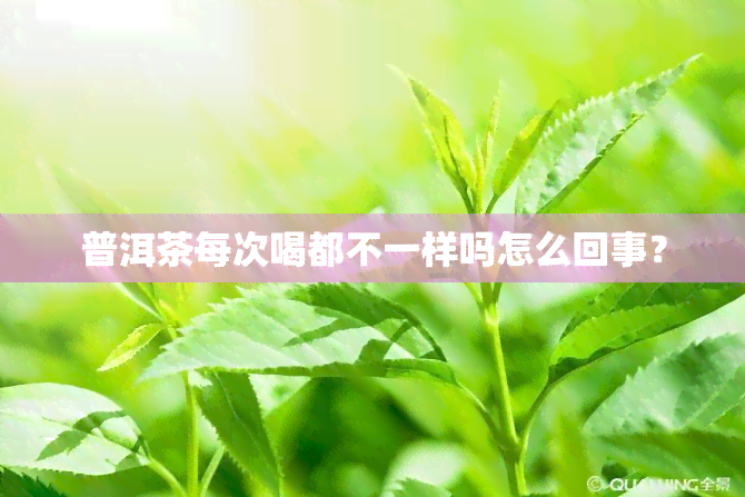 普洱茶每次喝都不一样吗怎么回事？