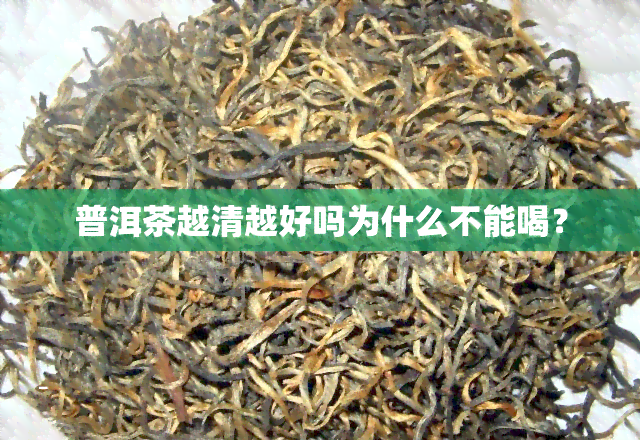 普洱茶越清越好吗为什么不能喝？